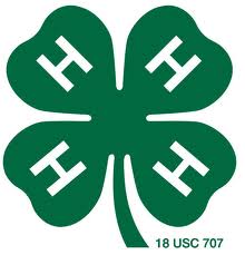 Discover 4-H!
