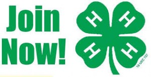 Join Now 4-H