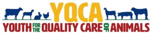 YQCA – Youth for the Quality Care of Animals