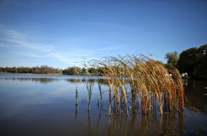 Groundwater Quality Testing