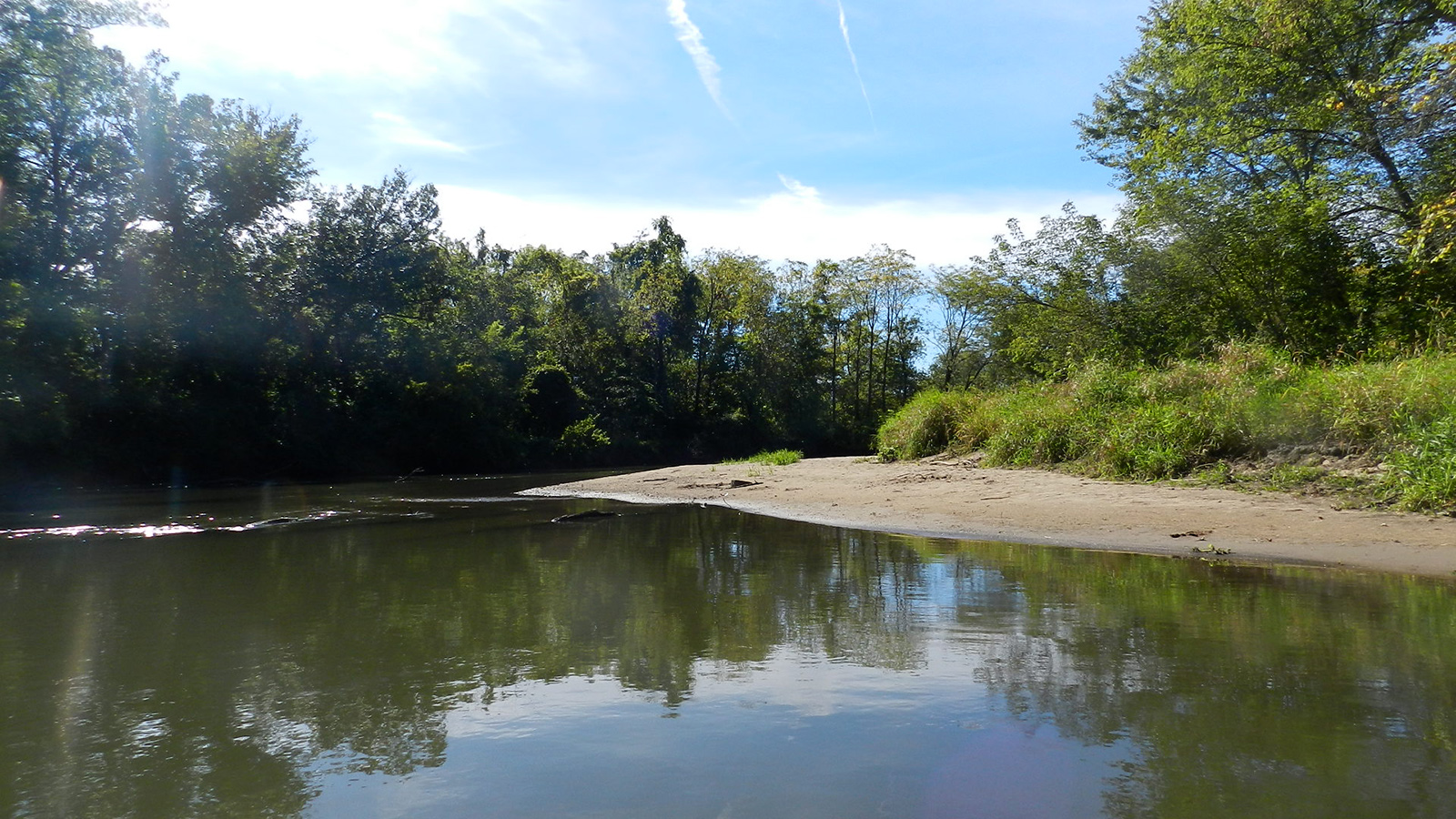 River with green trees on the left bank and a sandy shore on the right bank