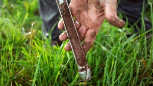 Soil Testing