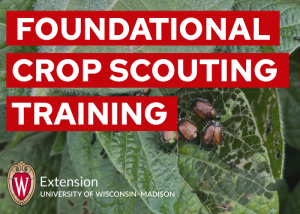 Foundational Crop Scouting Training – May 19, 2026
