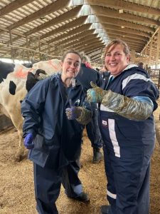 Artificial Insemination Training – Aug. 12 & 13, 2026