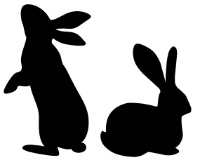 4-H Rabbit Workshop – Saturday, June 27